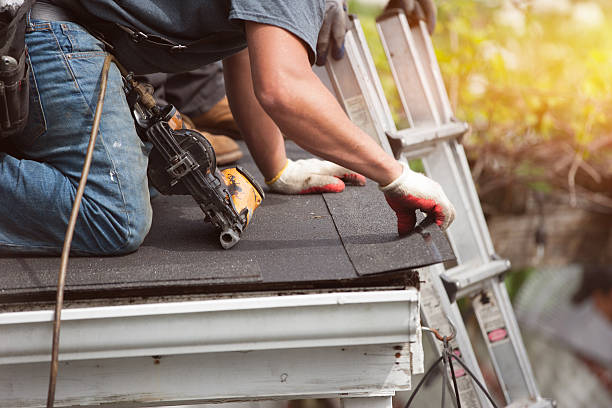 Best Metal Roofing Contractor  in Silver Creek, NY