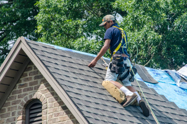 Best Roof Waterproofing Services  in Silver Creek, NY